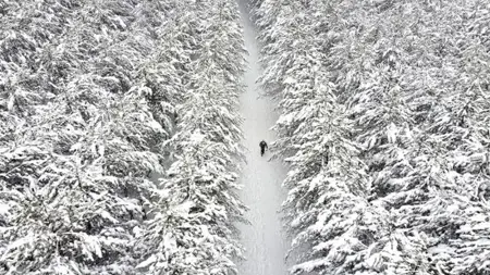 ثلوج وأمطار وانخفاض مفاجئ في درجات الحرارة.. توقعات الطقس في أنقرة واسطنبول ومدن الزلازل