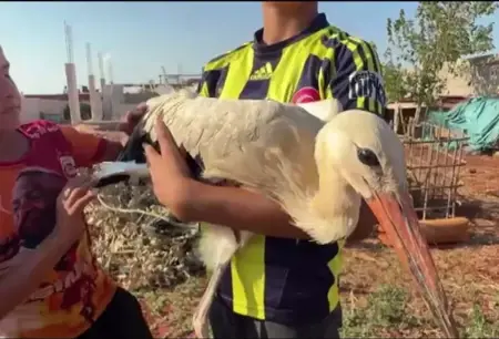 استضاف لقلقاً أنهكه التعب أثناء رحلة الهجرة في منزله بريحانلي