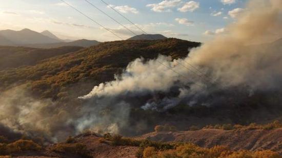 إخماد 3 من حرائق الغابات في 4 نقاط مختلفة شرقي تركيا