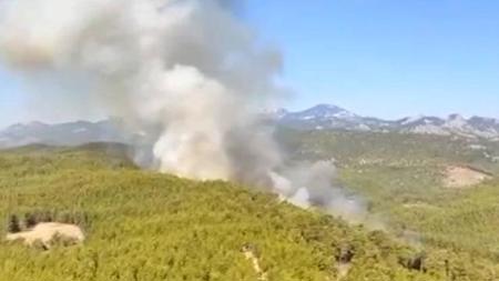 اندلاع حريق في منطقة الغابات بأنطاليا