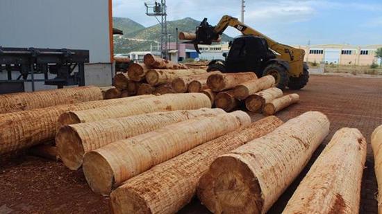 تركيا تحد من تصدير بعض المنتجات الخشبية