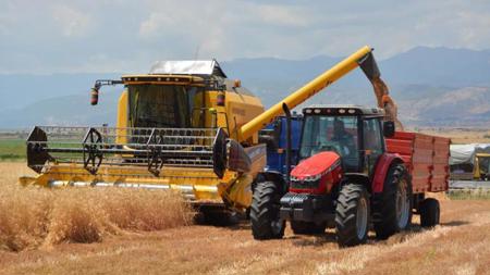 الصادرات الزراعية  في تركيا تحطم الأرقام القياسية 