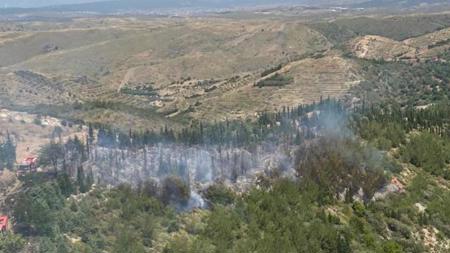 اندلاع حريق في غابات إزمير
