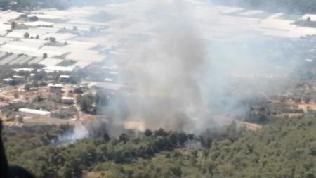 اندلاع حريق في غابات منطقة سيديكمير في موغلا