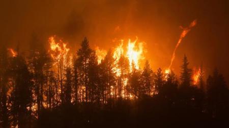 ولاية كاليفورنيا الأمريكية تتصارع مع الحرائق