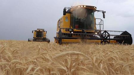 زيادة الصادرات الزراعية التركية في الربع الأول من العام الحالي