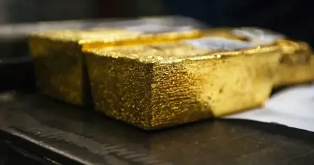 أثناء الحفر في مصنع جعةٍ قديم.. عمال بناء يعثرون على ذهبٍ بأكثر من 10 ملايين دولار في بلجيكا