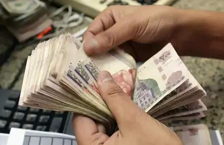 «مورغان ستانلي» يضع 3 سيناريوهات لتحرّكات الدولار أمام الجنيه المصريّ