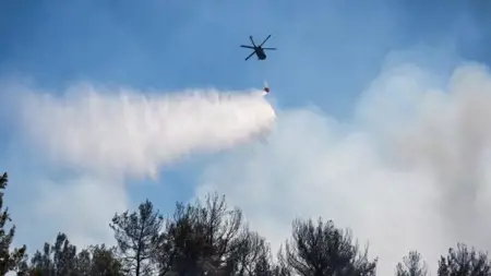 عاجل:العدل التركي: توقيف 13 شخصًا بتهمة التسبب في حرائق الغابات