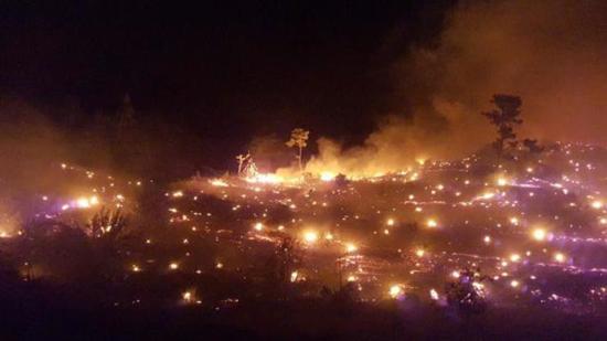 اندلاع حريق هائل في غابات موغلا