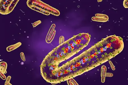 تحذير عالمي تفشّي فيروس ماربورغ  يثير القلق الصحي الدولي