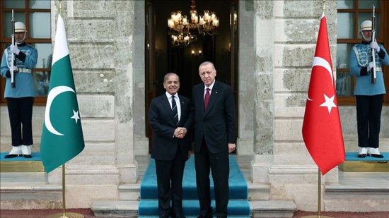 أردوغان يلتقي رئيس وزراء باكستان أردوغان يلتقي رئيس وزراء باكستان