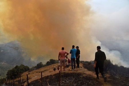 حرائق الغابات في الجزائر تثير المخاوف من تكرار سيناريو صيف 2021
