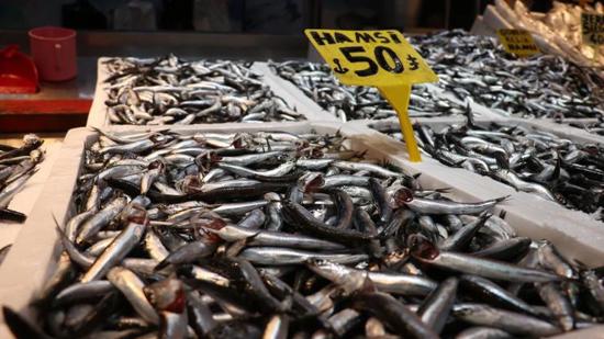 وفرة الهامسي تملأ أسواق البحر الأسود