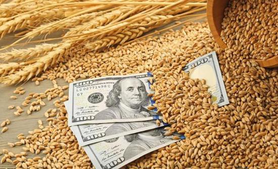 التوتر الروسي الأوكراني يرفع أسعار  القمح 2 % والذرة عند ذروة 7 أشهر