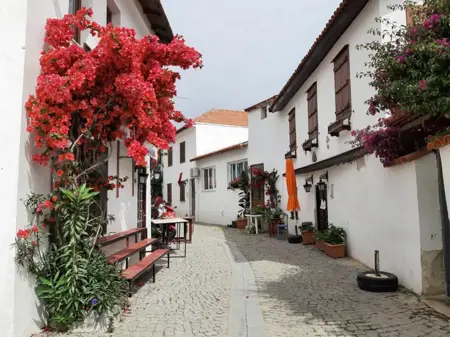 المدن الأقل شهرة تعيد رسم خريطة السياحة في تركيا