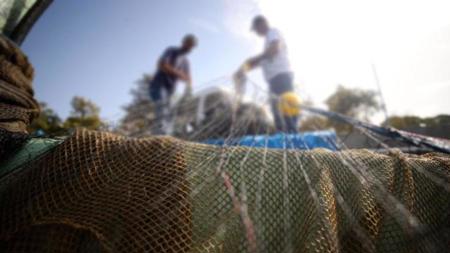 تشديد العقوبات على الصيد الجائر في تركيا