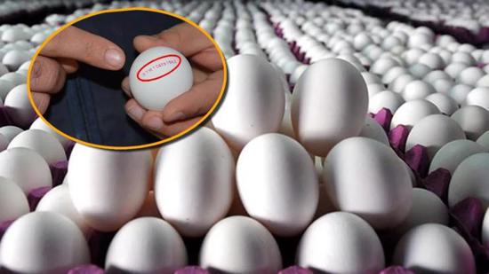 انتبه لهذه الأكواد الأربعة عند شراء البيض.. يظهر مدى صحته!