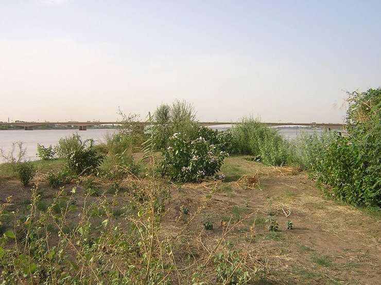 الصليب الأحمر يحذّر من اتّساع أزمة المفقودين في السودان