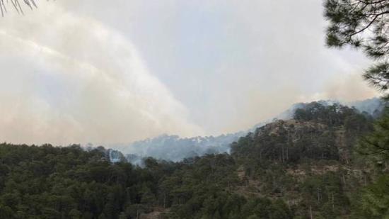 اندلاع حريق مهول بإحدى غابات دنيزلي التركية 