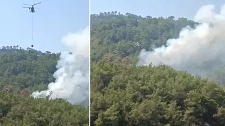 حريق غابات جديد في كوزان بأضنة والفرق تتدخل جواً وبراً