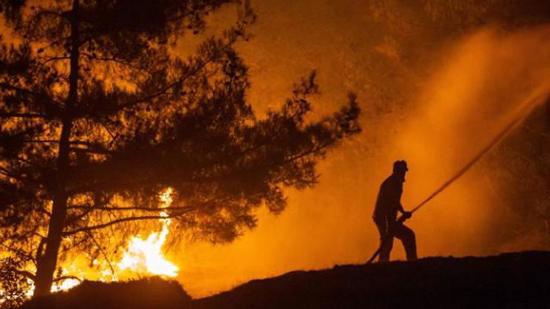 محاولات للسيطرة على حريق هائل اندلع في غابات هاتاي
