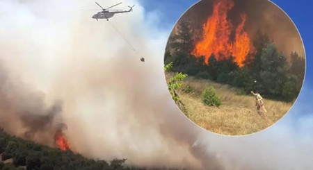 حريق غابات في كهرمان مرعش وعثمانية يستنفر فرق الإطفاء