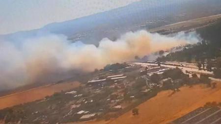 حريق مهول في غابات ولاية إزمير التركية