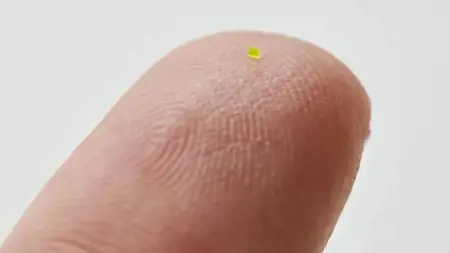 حقيبة يد بحجم حبة الملح تباع بسعر 63 ألف دولار