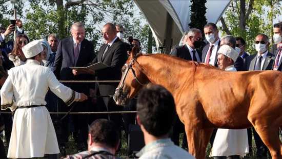 الرئيس الأذربيجاني يهدي أردوغان حصانا أصيلا