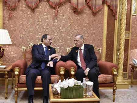 تعرف على أهم الملفات التي تناولها لقاء أردوغان بالسيسي في مصر
