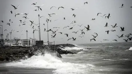 في ثاني أيام العيد .. تحذير لسكان إسطنبول: أمطار غزيرة قادمة 