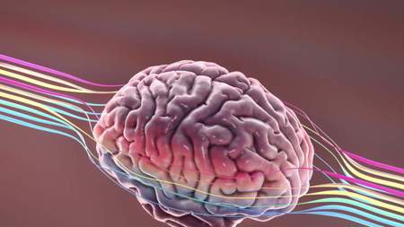 دراسة تعلن عن عقار فموي قد يصلح الضرر الدماغي الناجم عن مرض الزهايمر