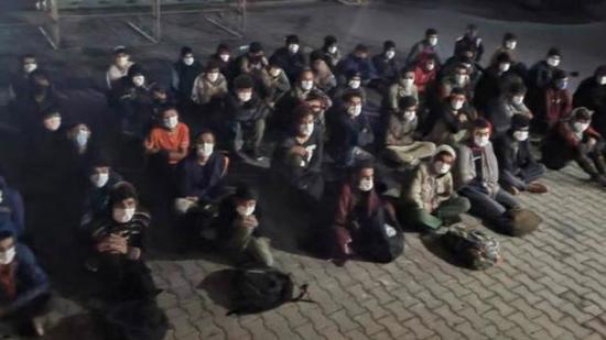 القبض على عشرات المهاجرين غير الشرعيين في فان