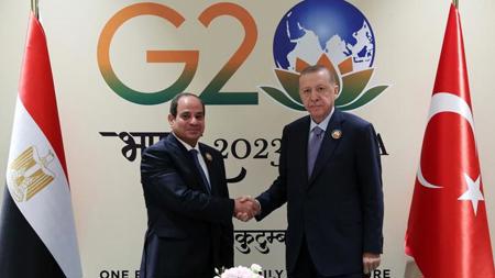 الرئاسة المصرية تصدر بيانًا بشأن لقاء السيسي بالرئيس أردوغان في الهند