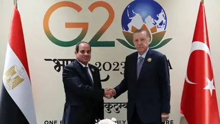 الرئاسة المصرية تصدر بيانًا بشأن لقاء السيسي بالرئيس أردوغان في الهند