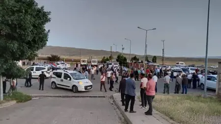 نحلة تودي بحياة راعي في بينغول التركية