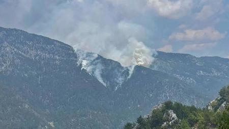 اندلاع حريق في غابات ألانيا وإرسال مروحية على الفور
