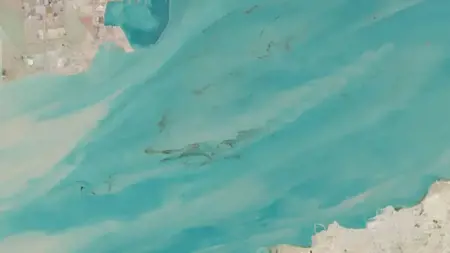 تسرّب نفطيّ من ناقلة جانحة قبالة عُمان يبلغ السواحل ويهدّد محمية للسلاحف