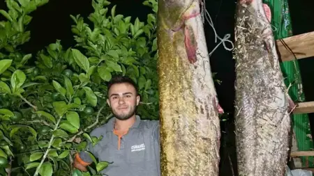 صيّاد هاوٍ يخرج «وحشاً» من نهر سقاريا: سمكة سلّور بطول 1.70 متر ووزن 34 كيلوغراماً