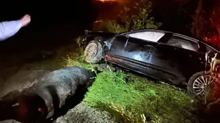 إصابة بهادير يني شهيرلي أوغلو بجروح في حادث مروري بولاية أفيون قره حصار