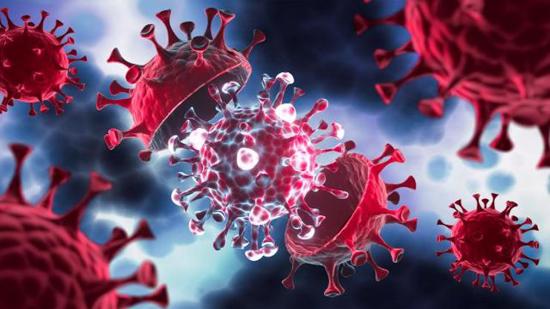 منظمة الصحة العالمية تبشر بموعد انتهاء وباء فيروس كورونا