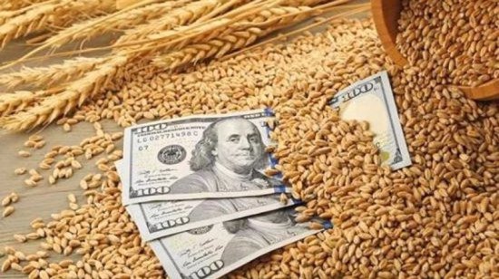 بعد استئناف اتفاق تصدير الحبوب الأوكرانية.. أسعار القمح تتراجع