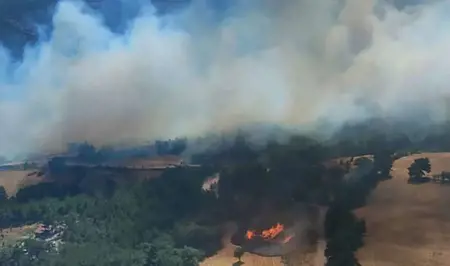 أفاد تصدر بياناً هاماً حول حريق غابات جناق قلعة