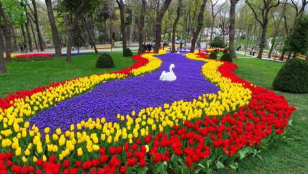 حديقة "أميرجان" إسطنبول.. متعة الاسترخاء في أحضان جنة الزهور وروائحها الفواحة