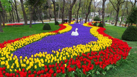 حديقة "أميرجان" إسطنبول.. متعة الاسترخاء في أحضان جنة الزهور وروائحها الفواحة
