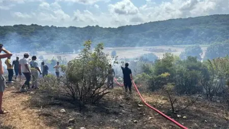 إخماد حريق غابة في كركلار إيلي بعد جهود مكثفة من فرق الإطفاء