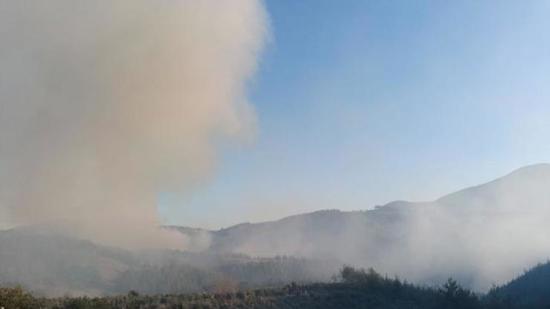 اندلاع حريق غابات في عثمانية