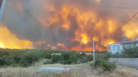 حريق ضخم في تكيرداغ يمتد من الأراضي الزراعية إلى الغابات