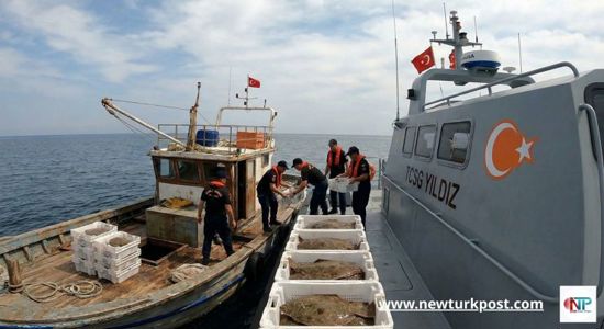 عملية في عرض البحر.. ضبط 850 كيلو سمك "كالكام" مهرب